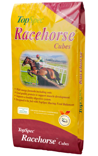 Racehorse Cubes