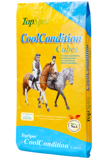 CoolCondition Cubes