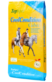 CoolCondition Cubes